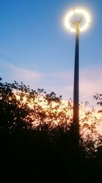 Low angle view of trees against sky at night