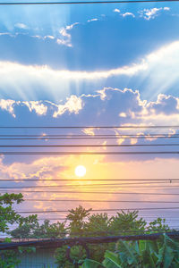 Low angle view of trees against sky during sunset