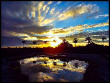 Reflection of trees in water at sunset