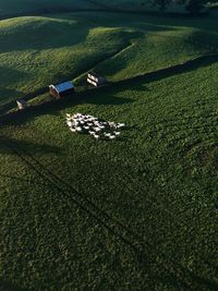 High angle view of field