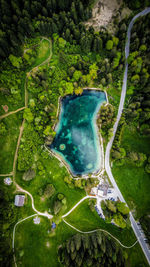 High angle view of road amidst trees in forest