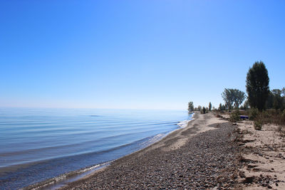 Scenic view of beach against clear blue sky