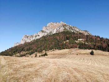 Scenic view of field against clear blue sky