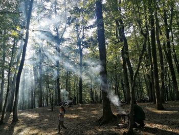 Man standing by trees in forest