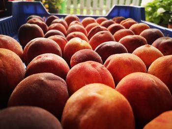 Close-up of apples for sale at market stall