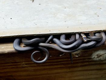 Close-up of rusty metal