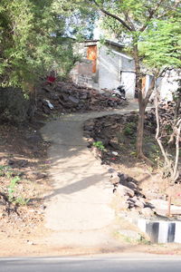 Road amidst trees and buildings in city