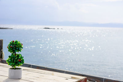View of plants by sea