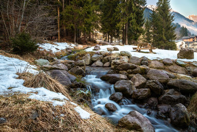 Stream flowing through rocks in forest during winter