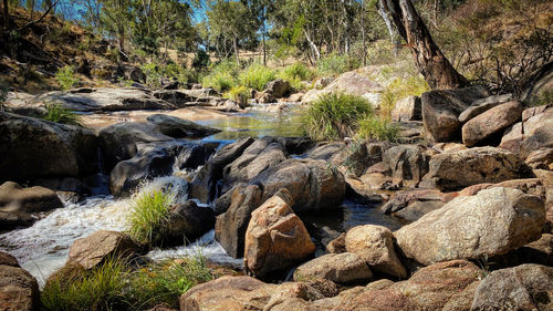 Stream flowing through rocks in forest