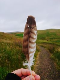 Cropped hand holding feather on footpath against sky