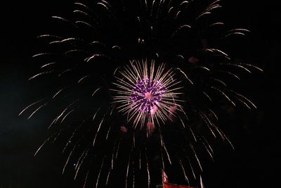 Low angle view of firework display at night