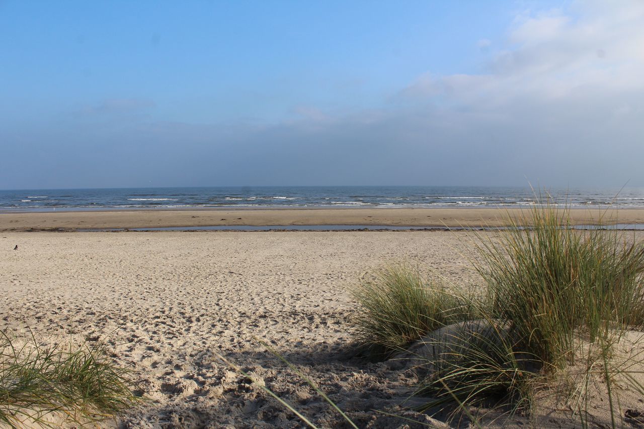 sea, nature, horizon over water, water, beach, scenics, beauty in nature, tranquil scene, tranquility, sand, day, outdoors, sky, marram grass, grass, no people, sand dune