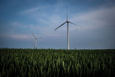 Wind turbines on field against sky