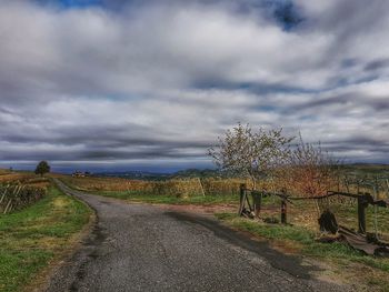 Road amidst trees on field against sky