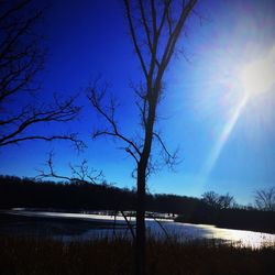 Sun shining through trees on landscape