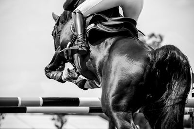 Horse jumping, equestrian sports, show jumping competition themed photograph.