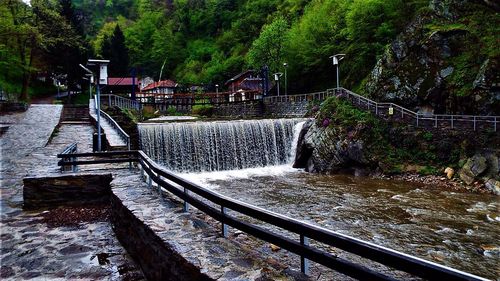 View of dam by river in forest