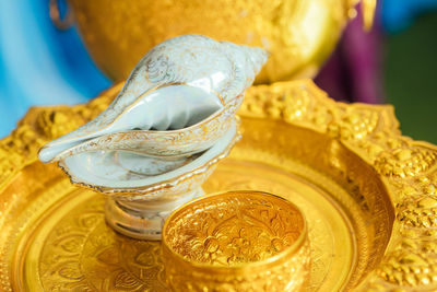 Close-up of conch shell on plate