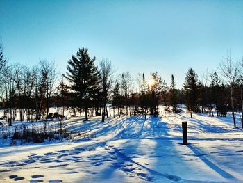 Trees on snow field against clear blue sky