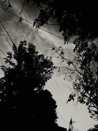 Low angle view of silhouette trees against sky