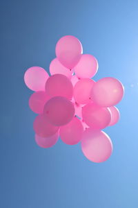 Low angle view of pink balloons against blue sky