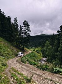 Road amidst trees and plants against sky