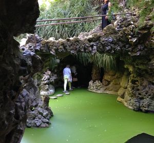 People on riverbank by trees