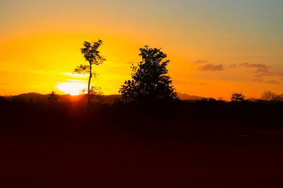 Silhouette trees on field against orange sky