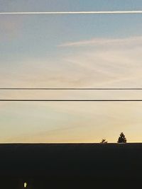 Silhouette of trees at sunset
