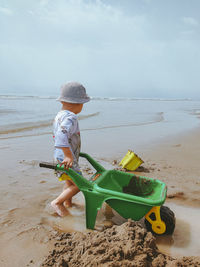 Rear view of boy toy on beach against sky