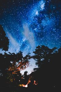 Low angle view of trees against blue sky at night