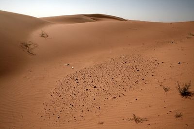 Scenic view of desert against sky