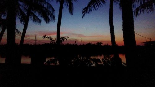 Silhouette palm trees at sunset