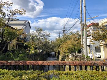 Plants and trees by building against sky