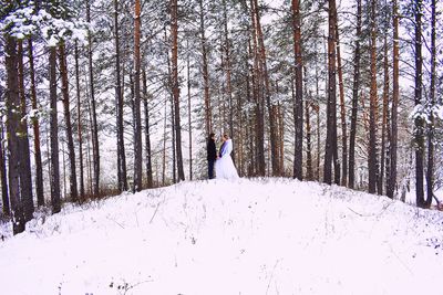 Bare trees on snow covered land during winter