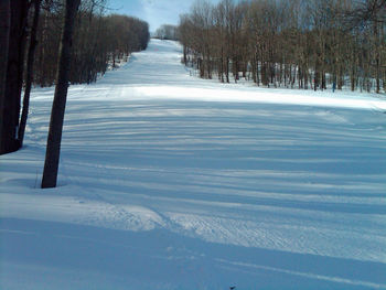 Scenic view of snow covered landscape