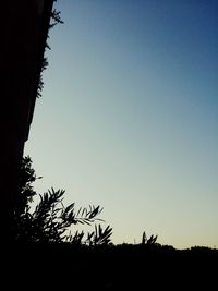 Low angle view of silhouette trees against sky at sunset