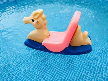 High angle view of toy in swimming pool