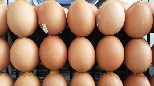 Full frame shot of eggs