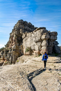 Rear view of woman walking on land