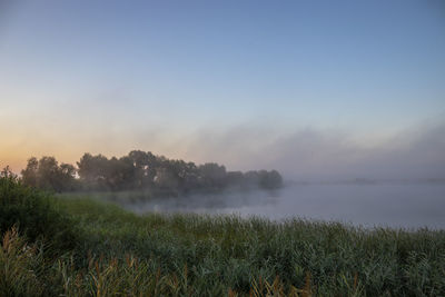 Scenic view of field against sky during foggy weather