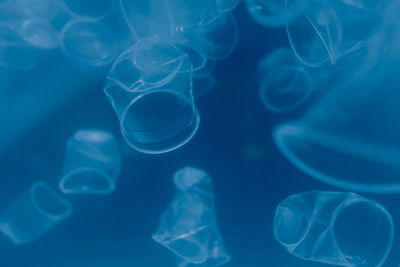 Close-up of jellyfish in sea