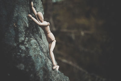 Close-up of hands on tree trunk against sky