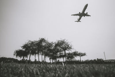 Low angle view of airplane flying against clear sky