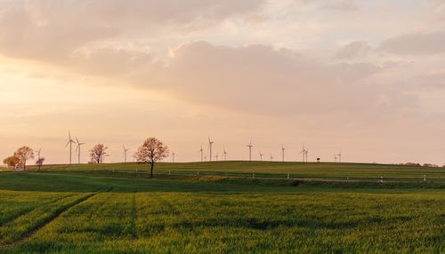 Windmills on landscape against cloudy sky during sunset