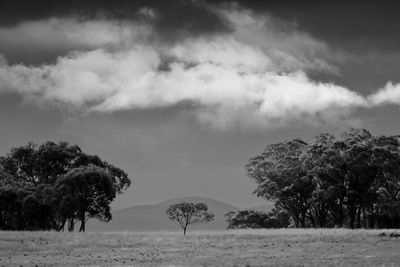 Black and white rural scenic view of trees, hills and clouds