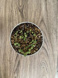 High angle view of food on table