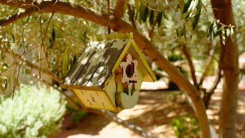 Close-up of birdhouse hanging on tree