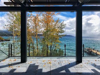 Trees by sea against sky seen through window